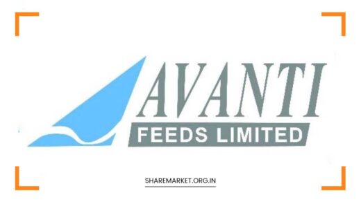 Avanti Feeds