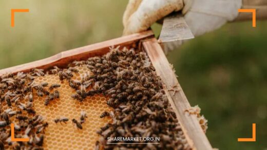 Beekeeping